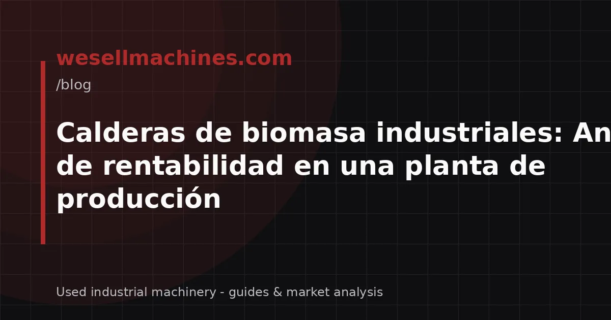 Calderas de biomasa industriales: Análisis de rentabilidad en una planta de producción