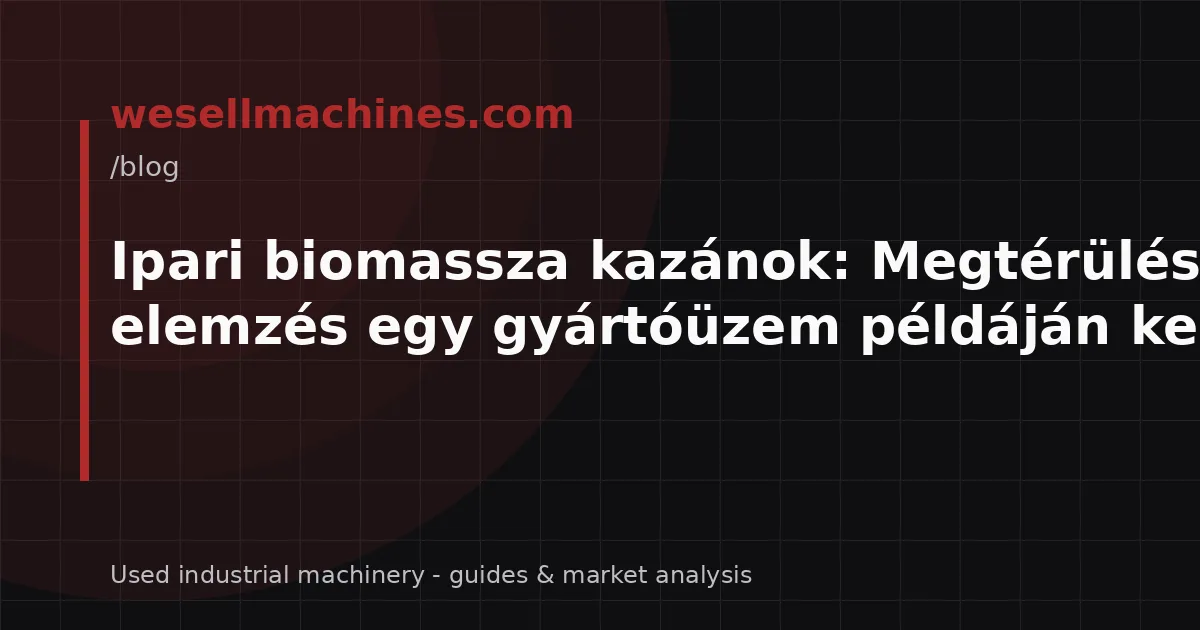 Ipari biomassza kazánok: Megtérülési elemzés egy gyártóüzem példáján keresztül