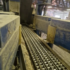 A Costa lumber cutting line with sorting facility