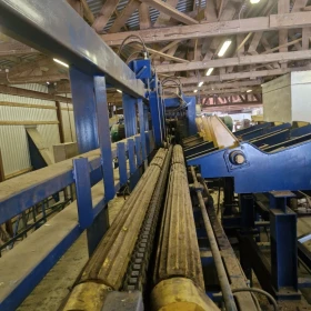 A Costa lumber cutting line with sorting facility